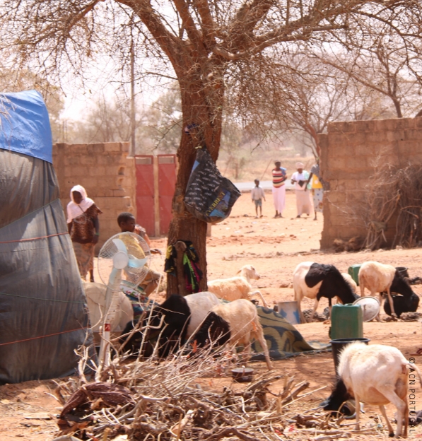 NÍGER: População em fuga depois de ataque violento por jihadistas na região de Tillabéri
