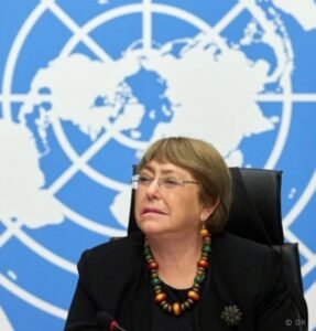ONU: Relatório das Nações Unidas refere “impacto catastrófico” nos direitos humanos pelo uso da Inteligência Artificial