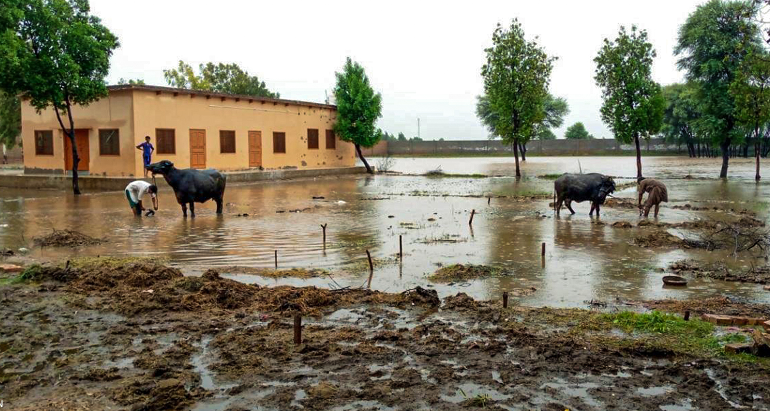 PAQUISTÃO: No rescaldo das inundações, os pobres agricultores cristãos olham com desespero para o futuro